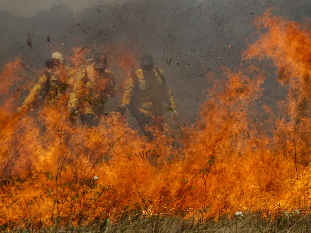 Incêndios castigam o Pantanal/foto: Joédson Alves/Agência Brasil Incêndios castigam o Pantanal/foto: Joédson Alves/Agência Brasil
