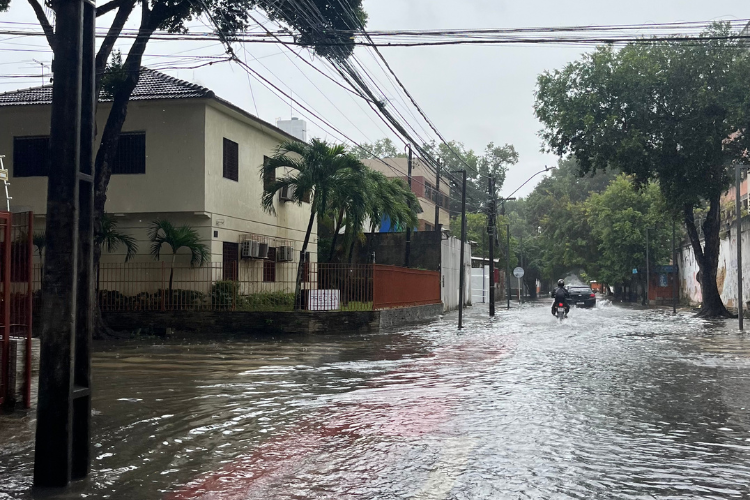 /Foto: Marina Torres/DP