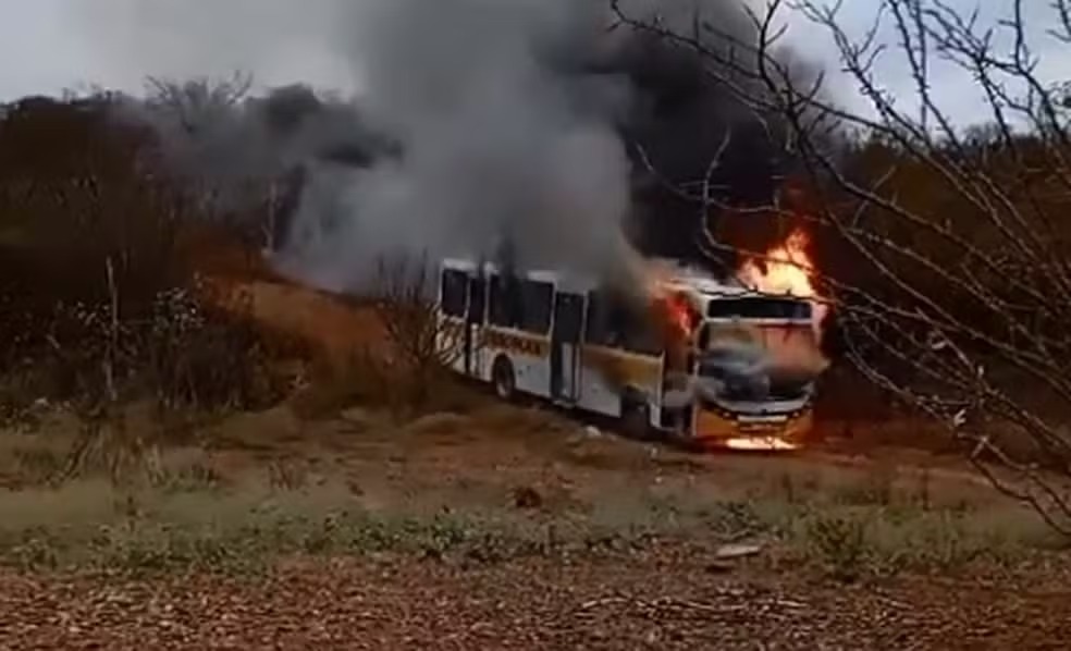 /Foto: Reprodução