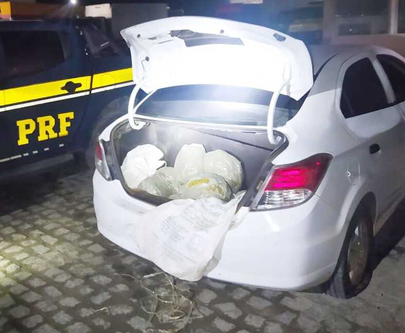 A PRF divulgou foto das apreens&otilde;es./Foto: Divulga&ccedil;&atilde;o/PRF