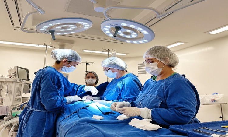serão realizadas 30 novas consultas para avaliação do quadro clínico e agendamento das próximas cirurgias/Foto: Divulgação/SES-PE serão realizadas 30 novas consultas para avaliação do quadro clínico e agendamento das próximas cirurgias/Foto: Divulgação/SES-PE