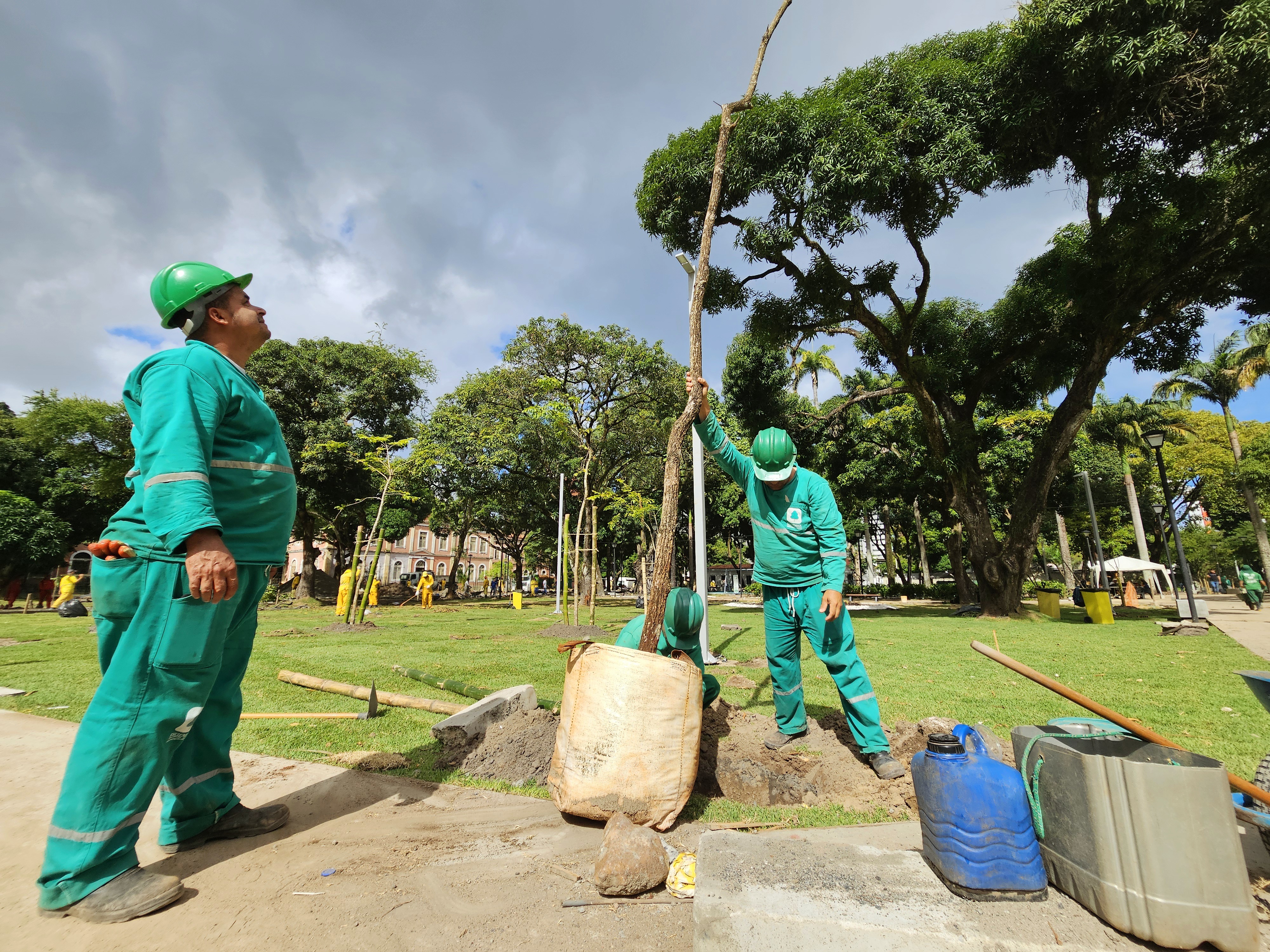 &Aacute;rvores est&atilde;o sendo colocadas em parque/Foto: prefeitura do Recife