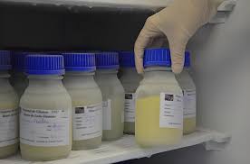 Banco de Leite do HC precisa e doações