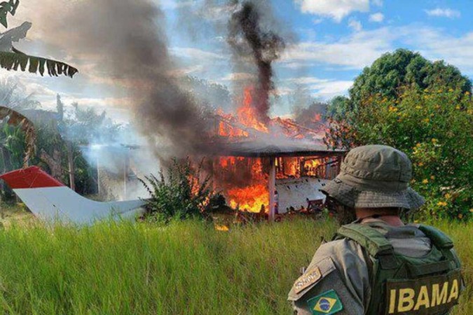 A determinação para a volta ao trabalho ocorre em meio aos incêndios e desmatamentos recordes no Pantanal/foto: Divulgação/Ibama