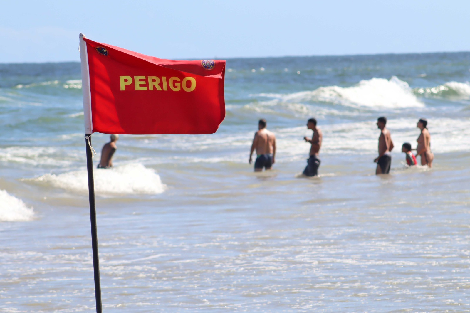 /Foto: Divulgação /Foto: Divulgação
