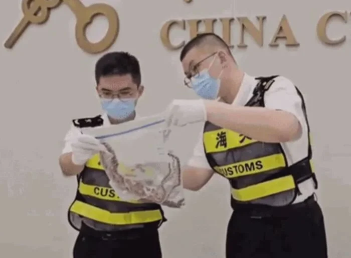 Homem tentava entrar na cidade de Shenzhen, na China/foto: Reprodução Homem tentava entrar na cidade de Shenzhen, na China/foto: Reprodução