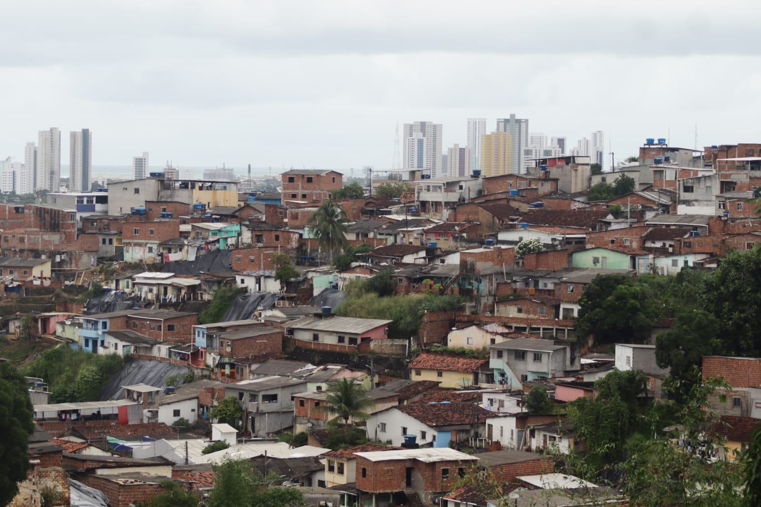Ao todo, estão listadas 76 ZEIS no Plano Diretor do Recife