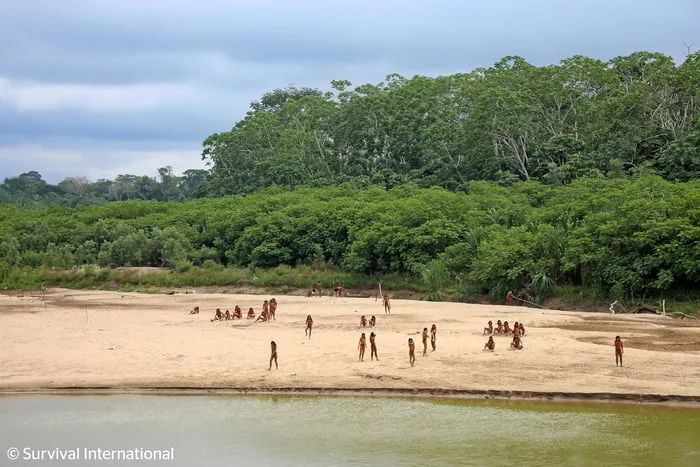 Indígenas Mashco Piro/foto: Survival International