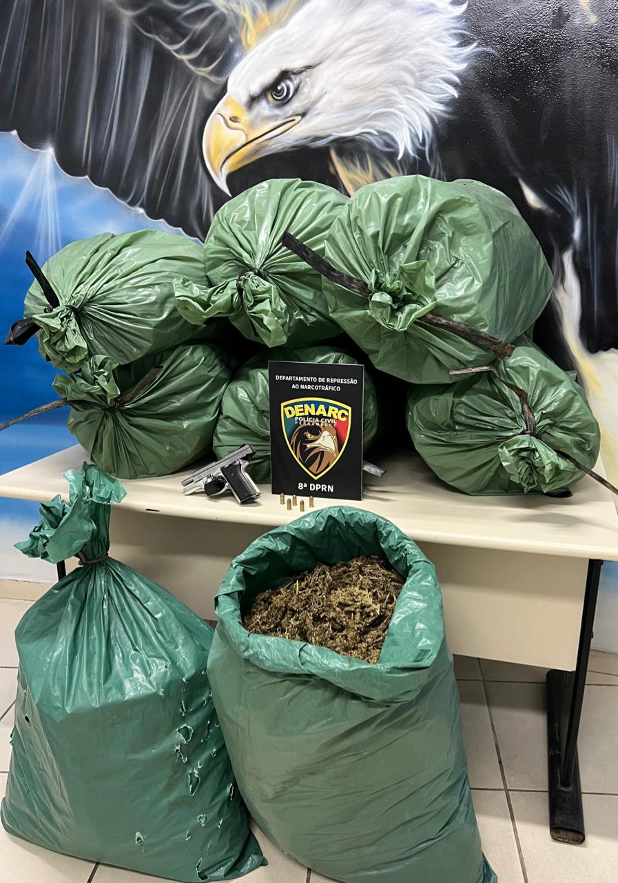 Maconha estava pronta para a revenda/Foto: Polícia Civil Maconha estava pronta para a revenda/Foto: Polícia Civil