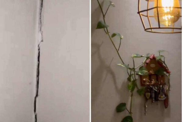 Perdizes, Pompeia e Mooca, na Zona Oeste da capital paulista, estão entre os locais onde o tremor de terra foi sentido/Crédito: Material cedido ao Correio/X/Reprodução