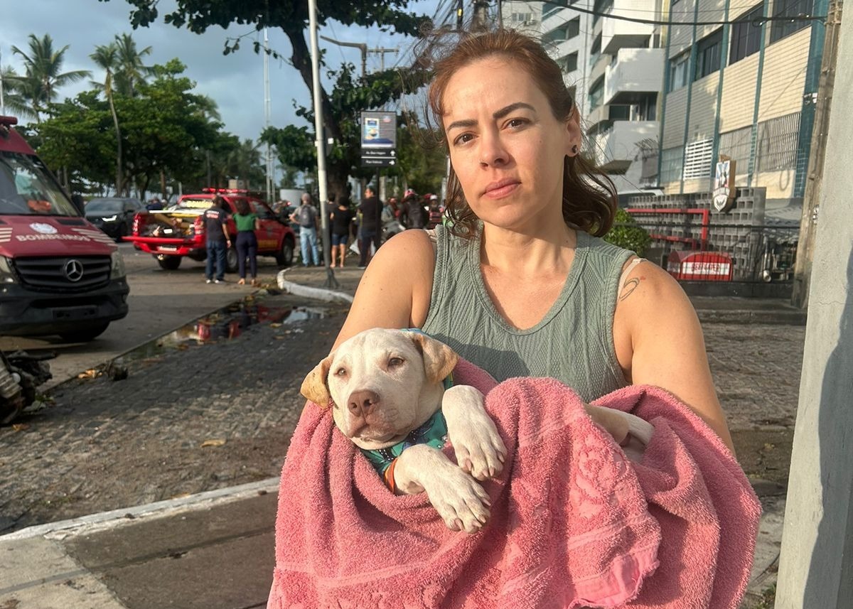 O animal foi resgatado pela jornalista Taciana Góes e pela servidora pública Cecile Carvalho, que decidiram levá-lo para uma clínica veterinária para receber os primeiros socorros/Foto: Reprodução/Whatsapp O animal foi resgatado pela jornalista Taciana Góes e pela servidora pública Cecile Carvalho, que decidiram levá-lo para uma clínica veterinária para receber os primeiros socorros/Foto: Reprodução/Whatsapp