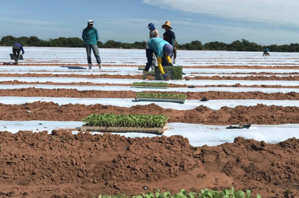 A legislação prevê que os clientes recebam um alerta da Neoenergia para que seja feita a atualização do maior número possível/Foto: Neoenergia A legislação prevê que os clientes recebam um alerta da Neoenergia para que seja feita a atualização do maior número possível/Foto: Neoenergia