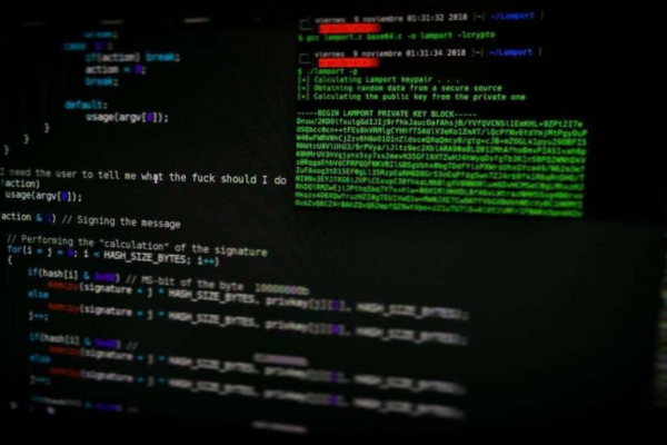 Ação hacker foi contra, ao menos, nove pastas/Crédito: Arget/Unsplash