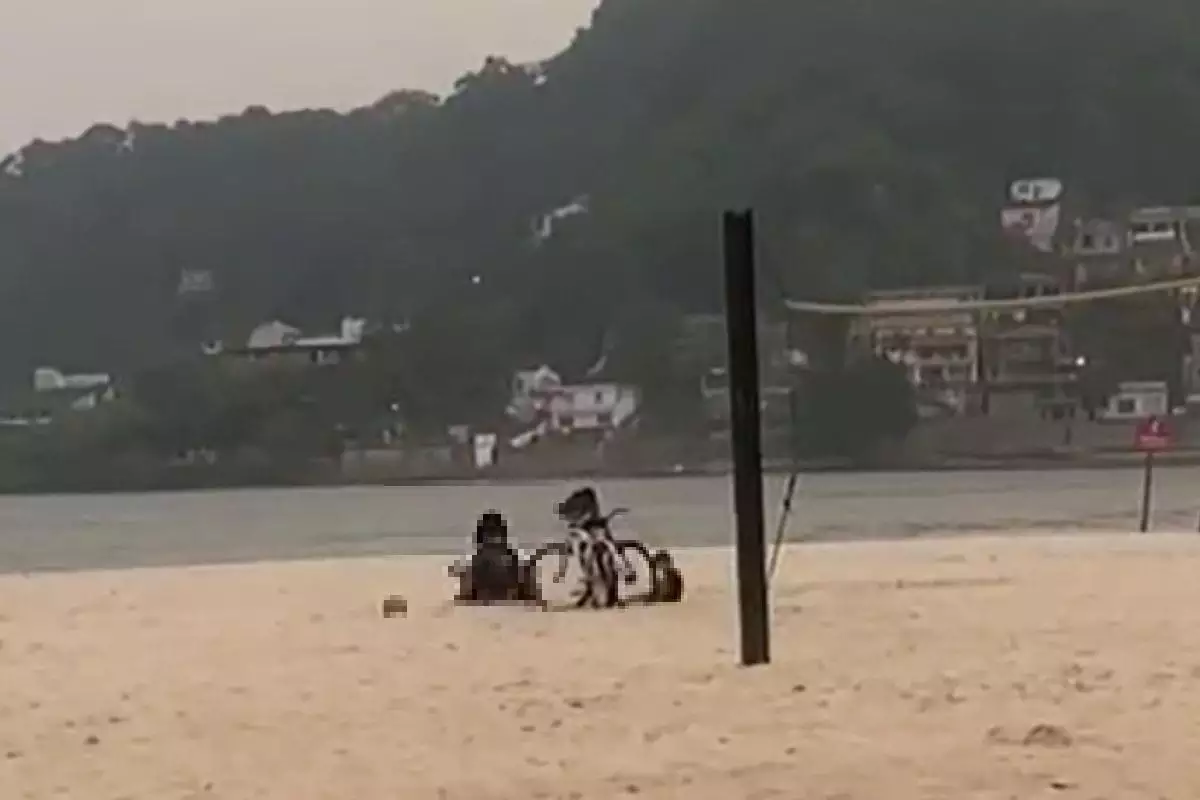Casal é flagrado fazendo sexo ao lado de criança em praia de São Vicente, em São Paulo/foto: Reprodução/Redes sociais Casal é flagrado fazendo sexo ao lado de criança em praia de São Vicente, em São Paulo/foto: Reprodução/Redes sociais