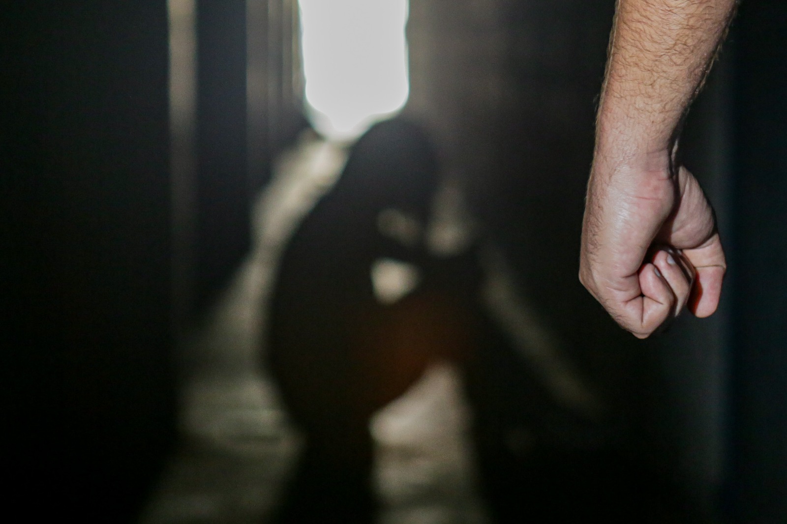 De acordo com especialista em segurança e os Poderes Públicos, a Lei Maria da Penha é a principal mecanismo de denúncia e de proteção/Foto: Rafael Viera/Arquivo DP De acordo com especialista em segurança e os Poderes Públicos, a Lei Maria da Penha é a principal mecanismo de denúncia e de proteção/Foto: Rafael Viera/Arquivo DP