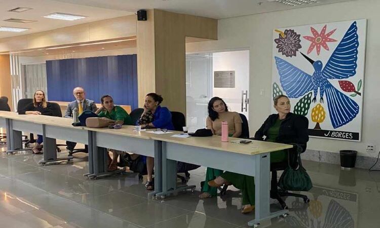O primeiro encontro para a elaboração deste plano de ação aconteceu no dia 16/04, no auditório da Coordenadoria da Infância e Juventude/Foto: Divulgação/TJPE