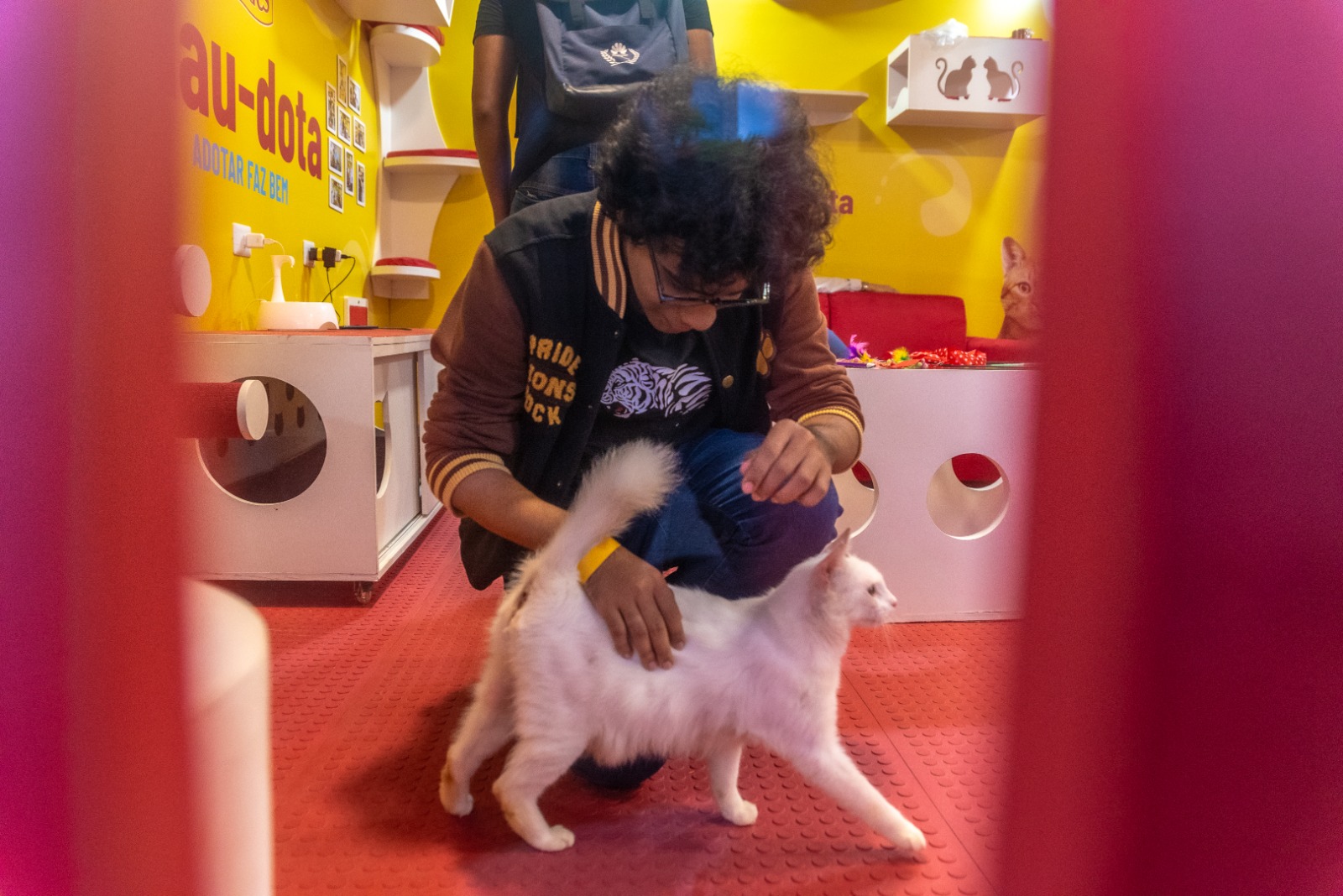 Feira de adoção começa nesta sexta (09) e vai até o dia 01 de setembro/Foto: Divulgação Feira de adoção começa nesta sexta (09) e vai até o dia 01 de setembro/Foto: Divulgação