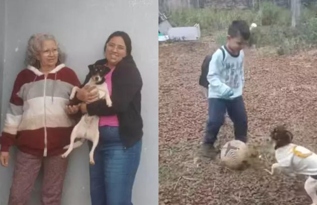 Família de Josgleidys González estava entre os 62 ocupantes do avião que caiu na sexta-feira (9)/Fotos: Reprodução/Redes Sociais Família de Josgleidys González estava entre os 62 ocupantes do avião que caiu na sexta-feira (9)/Fotos: Reprodução/Redes Sociais