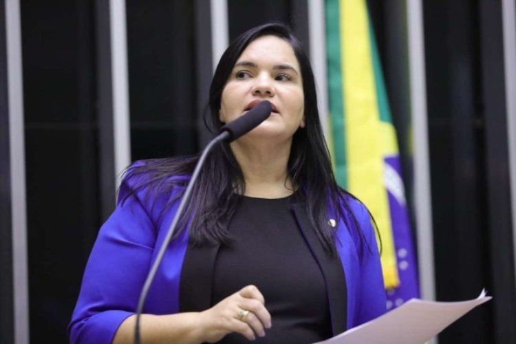 O texto é de autoria da deputada Missionária Michele Collins (PP-PE)/crédito: Mário Agra/Câmara dos Deputados O texto é de autoria da deputada Missionária Michele Collins (PP-PE)/crédito: Mário Agra/Câmara dos Deputados