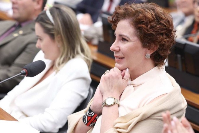 "Agora é momento de novos soldados, sem ferimentos, assumirem a dianteira dessa batalha, pois estou nesta pauta desde 2015 e preciso dar 2 passos atrás", disse a deputada/foto: Myke Sena/Agência Câmara