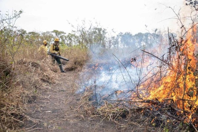 Incêndios florestais assolam diversas regiões do país e PF investiga causas/foto: Vitor Vasconcelos/Secom/Presidência da República Incêndios florestais assolam diversas regiões do país e PF investiga causas/foto: Vitor Vasconcelos/Secom/Presidência da República