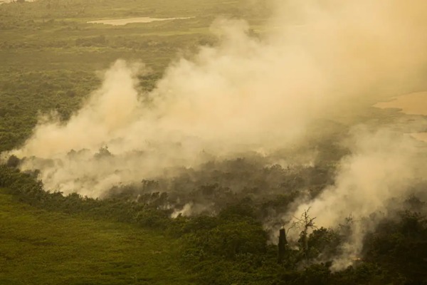 Esta é a 11ª prisão por incêndios no estado de SP/Crédito: Agência Brasil Esta é a 11ª prisão por incêndios no estado de SP/Crédito: Agência Brasil