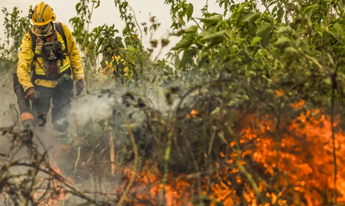 /Foto: Marcelo Camargo/Agência Brasil /Foto: Marcelo Camargo/Agência Brasil