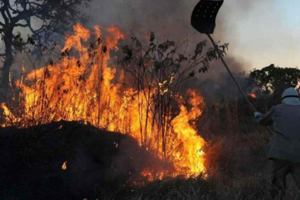 Brigadista combate incêndio em Mato Grosso: Ministério Público requereu na Justiça o reforço de 450 homens, além de aeronaves e mais verbas/Crédito: Valter Campanato/Agencia Brasil