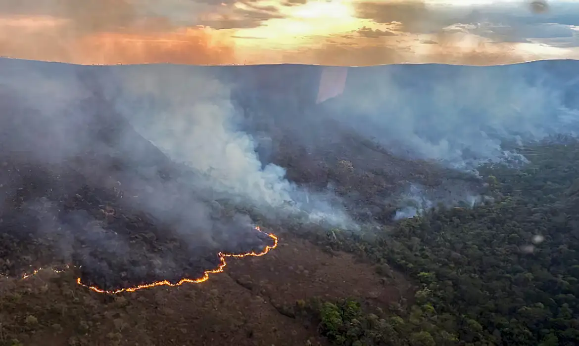 Um grupo organizado pelo Polo de EcoCiências do Cerrado realizou hoje (8), pelo segundo dia consecutivo, um mutirão para avaliar as condições da Reserva Privada do Patrimônio Natural (RPPN) Campo Úmido Voshysias, em Alto Paraíso de Goiás, próxima ao Parque Nacion/Foto: CBMGO/Divulgação Um grupo organizado pelo Polo de EcoCiências do Cerrado realizou hoje (8), pelo segundo dia consecutivo, um mutirão para avaliar as condições da Reserva Privada do Patrimônio Natural (RPPN) Campo Úmido Voshysias, em Alto Paraíso de Goiás, próxima ao Parque Nacion/Foto: CBMGO/Divulgação