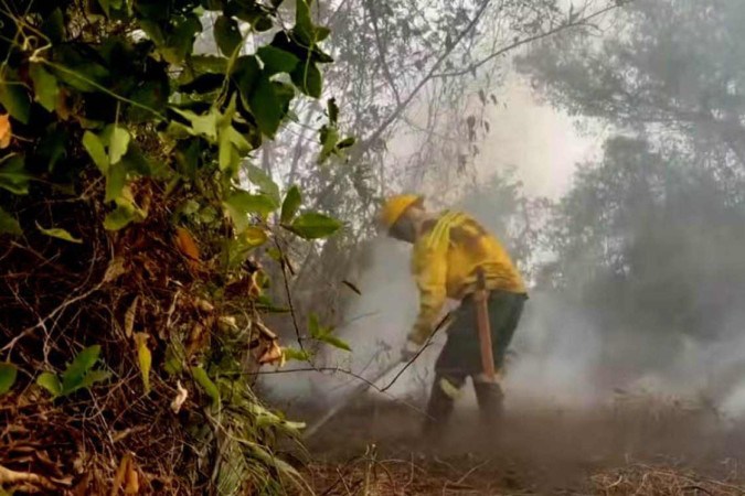 De acordo com o Inpe, nas últimas 48 horas, a Amazônia registrou 3.262 focos de fogo, o que corresponde a 38,3% do total do país/Corpo de Bombeiros do Mato Grosso/Divulgação De acordo com o Inpe, nas últimas 48 horas, a Amazônia registrou 3.262 focos de fogo, o que corresponde a 38,3% do total do país/Corpo de Bombeiros do Mato Grosso/Divulgação