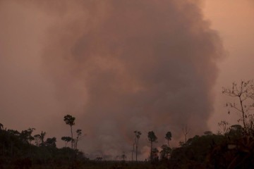 Queimadas ilegais na floresta amazônica às margens da rodovia BR-230, próximo à cidade de Humaitá, no Amazonas/Foto: MICHAEL DANTAS / AFP
