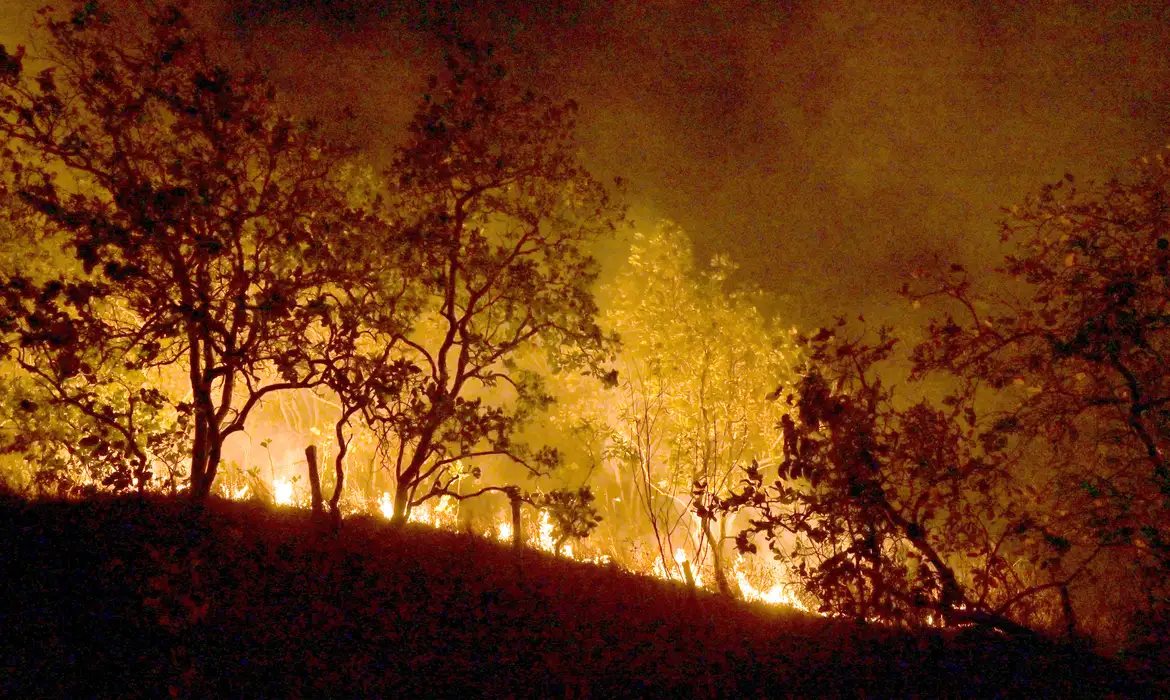 Esclarecimentos devem ser enviados em 30 dias/foto: Jader Souza/AL Roraima Esclarecimentos devem ser enviados em 30 dias/foto: Jader Souza/AL Roraima