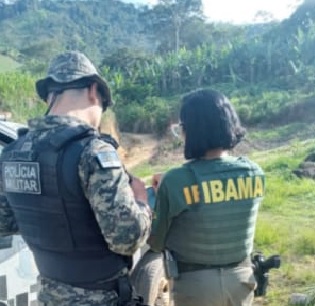 Ibama e Cipoma  aplicaram multas/Foto: PM