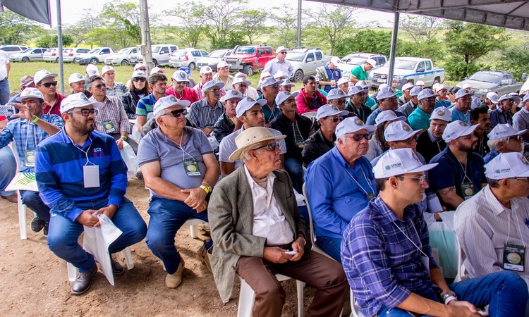 Destinado a produtores rurais assistidos pela Assistência Técnica e Gerencial (ATeG) do Senar Pernambuco, o encontro reunirá cerca de 100 participantes de municípios como Iati, Itaíba, Buíque, São Bento do Una, Caetés, Pesqueira, Alagoinha e Pedra/Foto: Divulgação/Senar-PE Destinado a produtores rurais assistidos pela Assistência Técnica e Gerencial (ATeG) do Senar Pernambuco, o encontro reunirá cerca de 100 participantes de municípios como Iati, Itaíba, Buíque, São Bento do Una, Caetés, Pesqueira, Alagoinha e Pedra/Foto: Divulgação/Senar-PE