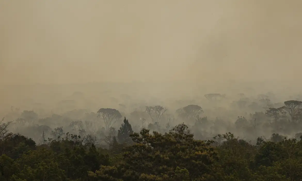 /Foto: MARCELO CAMARGO/AGÊNCIA BRASIL