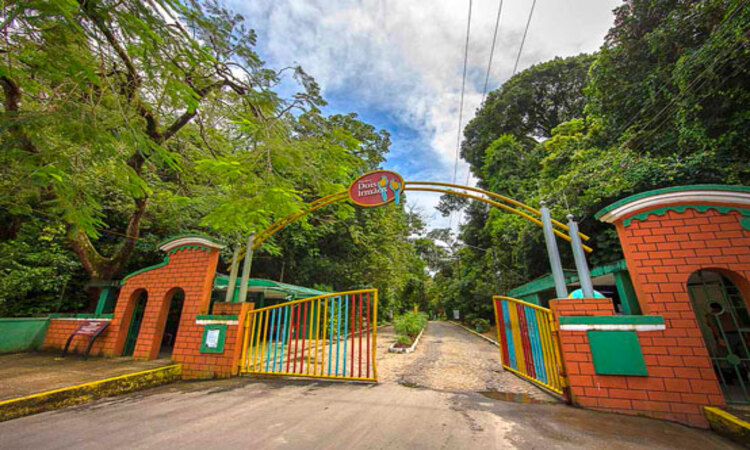 Até domingo (13) o zoo será palco para muita diversão e aprendizado sobre a importância de proteger o meio ambiente