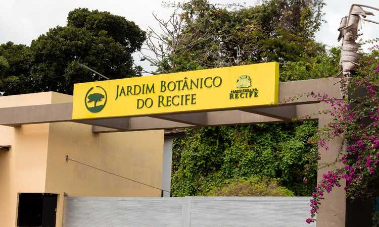No roteiro, oficina de produção de mudas; oficina de manipulação de plantas medicinais; contação de história; jogo de tabuleiro, dentre outras ações com a temática ambiental
