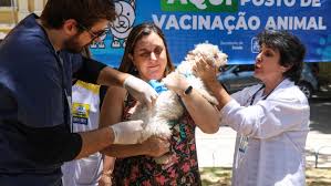 Cães poderão ser vacinados/Foto: Arquivo Cães poderão ser vacinados/Foto: Arquivo