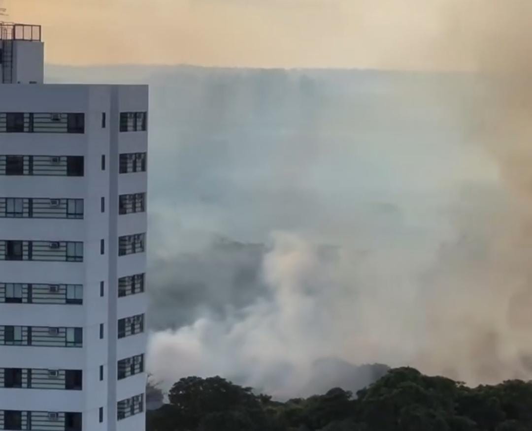 Na gravação é possível perceber que o fogo se espalhou rapidamente pela área de mata e que o incêndio possui uma proporção consideravelmente grande/Foto: Reprodução/Instagram Na gravação é possível perceber que o fogo se espalhou rapidamente pela área de mata e que o incêndio possui uma proporção consideravelmente grande/Foto: Reprodução/Instagram