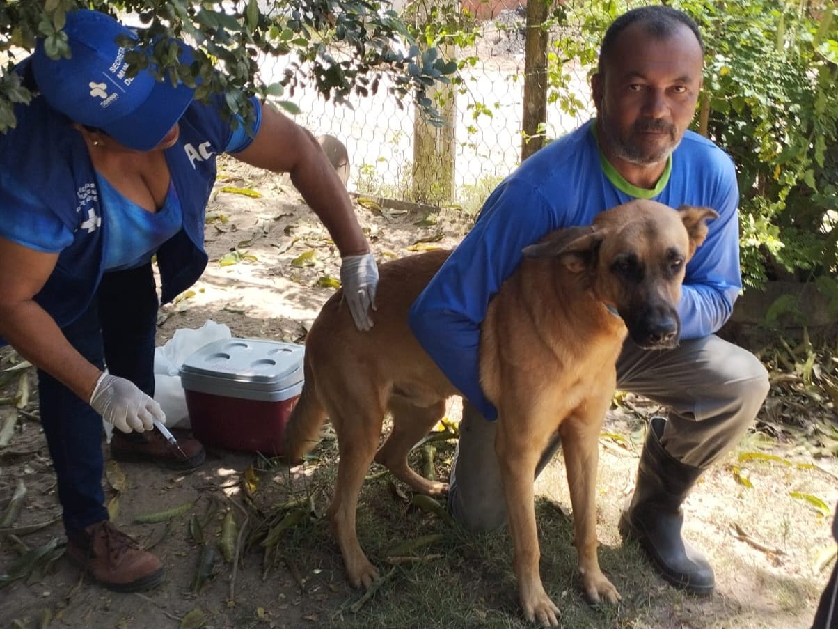 Foram vacinados, neste primeiro dia, 120 cães e 64 gatos no distrito de Barra de Catuama/Foto: Divulgação