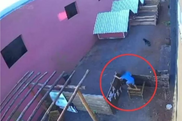 Criança pulando muro de hospital veterinário no Paraná/Crédito: Reprodução Criança pulando muro de hospital veterinário no Paraná/Crédito: Reprodução