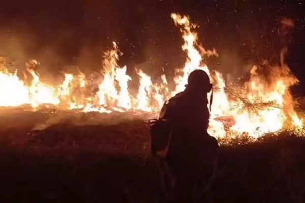 Incêndio em vegetação em Boa Esperança, no Sul de MInas; projeto de lei propões endurecer penas para crimes ambientais/Crédito: reprodução/rede social Incêndio em vegetação em Boa Esperança, no Sul de MInas; projeto de lei propões endurecer penas para crimes ambientais/Crédito: reprodução/rede social