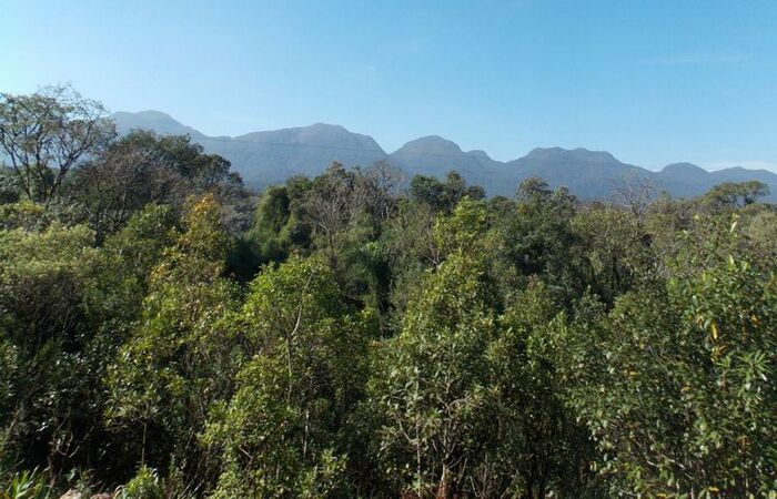 Com a adesão ao programa, a unidade de inteligência da Agência CPRH poderá planejar ações estratégicas em todos os biomas de Pernambuco/Foto: Arquivo/Agência Brasil Com a adesão ao programa, a unidade de inteligência da Agência CPRH poderá planejar ações estratégicas em todos os biomas de Pernambuco/Foto: Arquivo/Agência Brasil