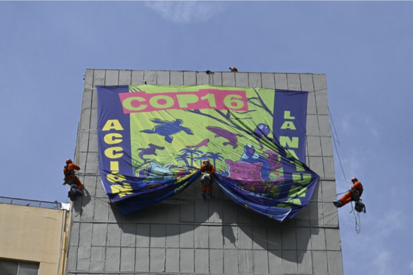 Ativistas do Greenpeace penduram em um prédio uma faixa que diz %u201CCOP 16 Ação pela Natureza%u201D em Cali, departamento de Valle del Cauca, Colômbia, em 18 de outubro de 2024/Crédito: JOAQUIN SARMIENTO / AFP