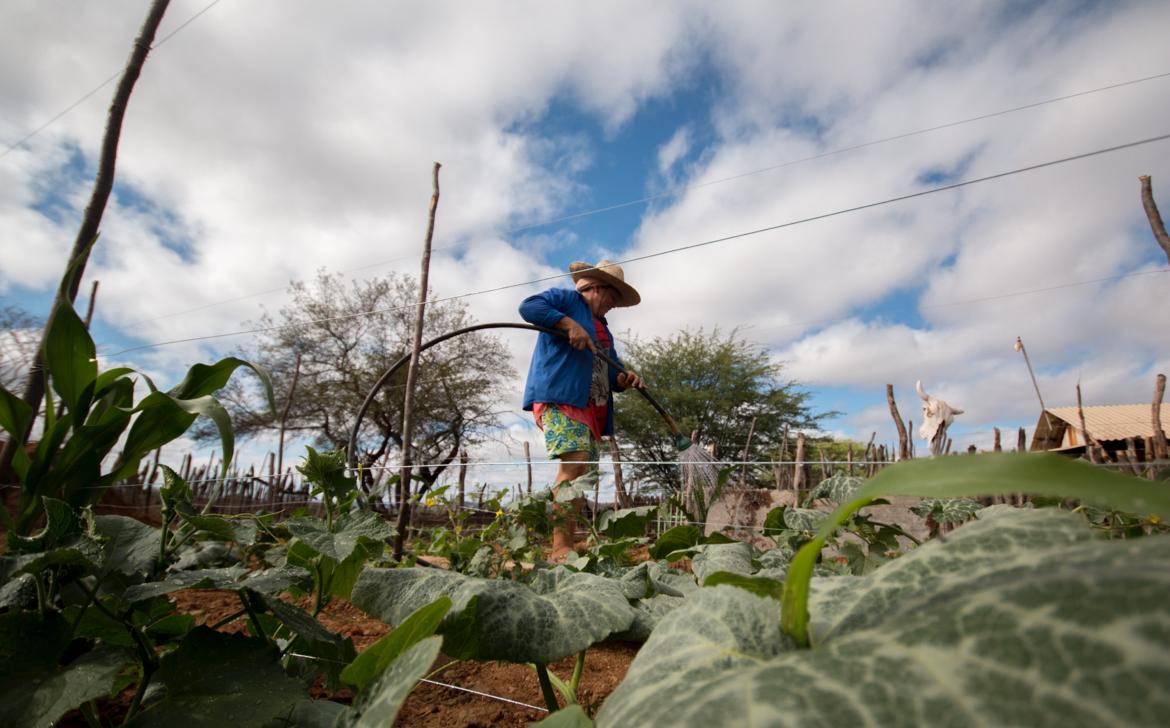 Estudos mostram que a região semiárida do Brasil possui múltiplas vulnerabilidades em termos sociais, ambientais, econômicos e institucionais/Foto: Ana Mendes