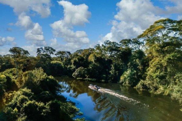 Com 6,7 milhões de Km2, a Amazônia corresponde a 7% da superfície global e cerca de 50% da biodiversidade mundial, ocupando oito países/Crédito: Wirestock Com 6,7 milhões de Km2, a Amazônia corresponde a 7% da superfície global e cerca de 50% da biodiversidade mundial, ocupando oito países/Crédito: Wirestock