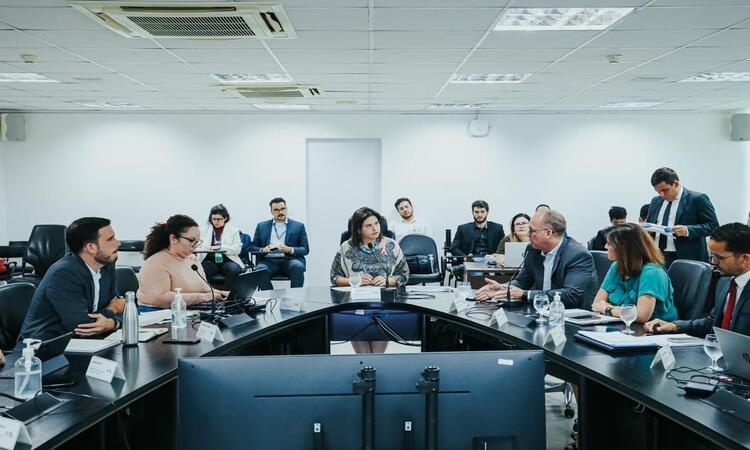 O trabalho está sendo executado pela Secretaria de Administração Penitenciária e Ressocialização/Foto: Janaína Pepeu/Secom