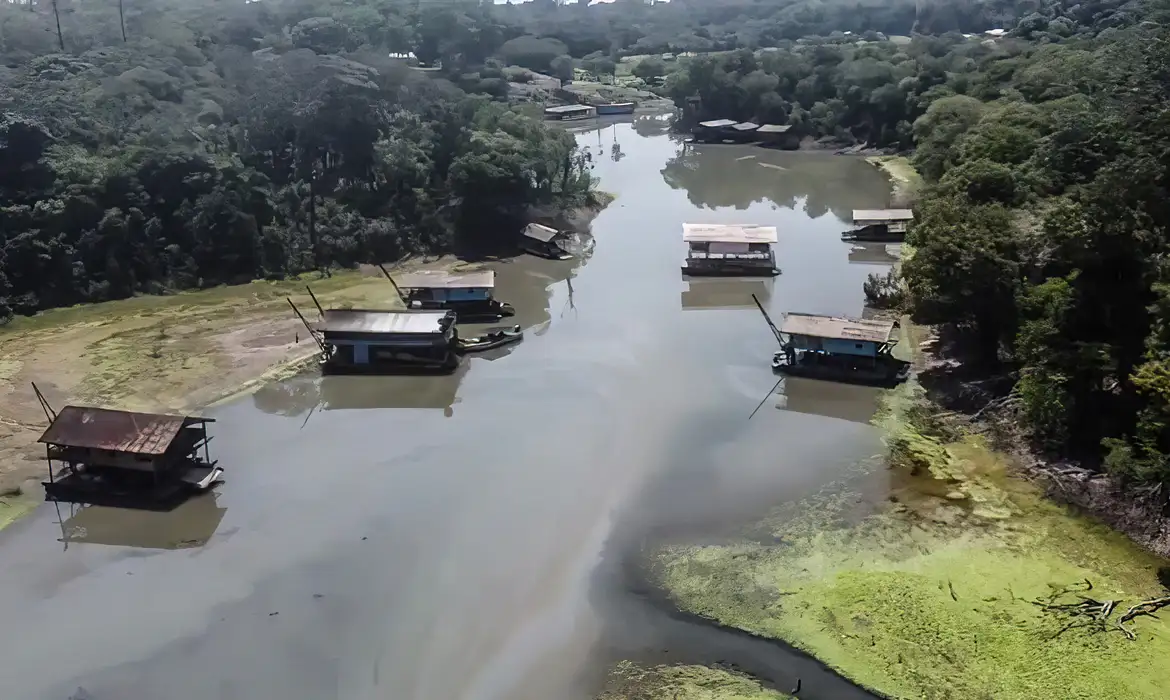 O mercúrio se acumula na cadeia alimentar, especialmente em peixes consumidos pela população local/foto: Polícia Federal/divulgação O mercúrio se acumula na cadeia alimentar, especialmente em peixes consumidos pela população local/foto: Polícia Federal/divulgação