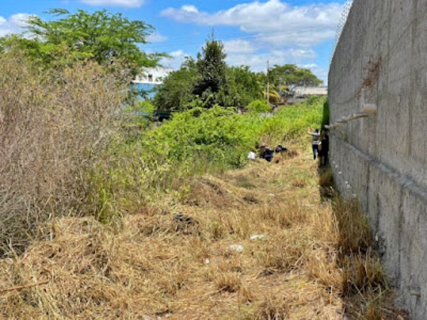 O caso é investigado pela Polícia Civil/Foto: Reprodução