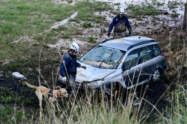 Polícia utiliza cães para procurar vítimas em Alfafar, na região de Valência/Créditos: JOSE JORDAN / AFP Polícia utiliza cães para procurar vítimas em Alfafar, na região de Valência/Créditos: JOSE JORDAN / AFP